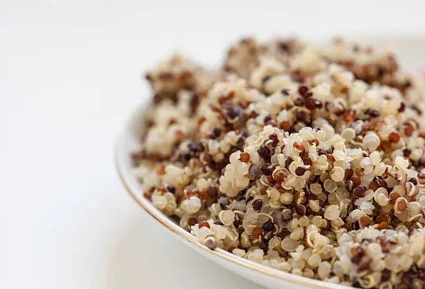 "Dish of Cooked Quinoa, Starchy Staple, 3 shallow focus, copy spaceThis closeup shot shows the uniquely flattened, rounded shape of the quinoa seed. A healthy, filling, starchy side-dish."
