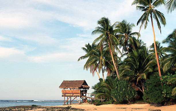 istock Philippines, Surigao Del Norte, Siargao island, beach. 185323280