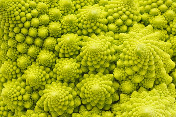 romanesco brócolis close-up - romanesco broccoli - fotografias e filmes do acervo