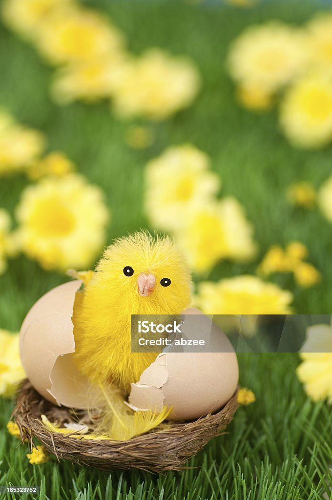 Easter Chick Easter ChickChrist crucified against a blue sky with sunlight illuminating right hand side.For all my easter related images please see this Lightbox: Animal Stock Photo