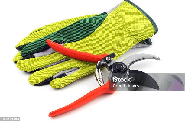 Offener Garten Shears Und Handschuhe Stockfoto und mehr Bilder von Gartengerät - Gartengerät, Gartenschere, Weißer Hintergrund