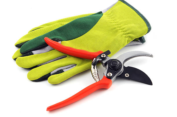 Open gardening shears and gloves stock photo