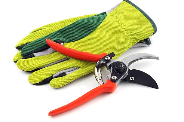 Photo of Open gardening shears and gloves