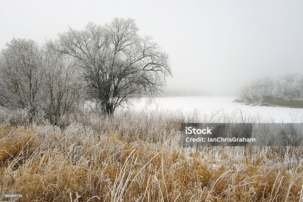 Paisagem de Frozen - Foto de stock de Winnipeg royalty-free