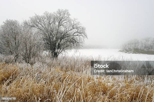 Foto de Paisagem De Frozen e mais fotos de stock de Winnipeg - Winnipeg, Inverno, Rio Red