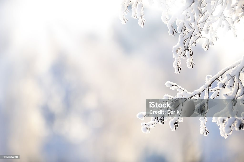 Derivación de invierno cubierto de nieve - Foto de stock de Invierno libre de derechos