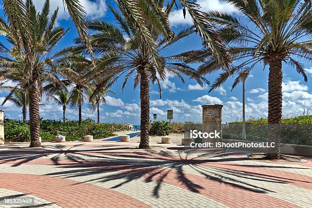 Praia De Miami Passeio - Fotografias de stock e mais imagens de Trilho - Trilho, Passadeira - Via Pública, South Beach