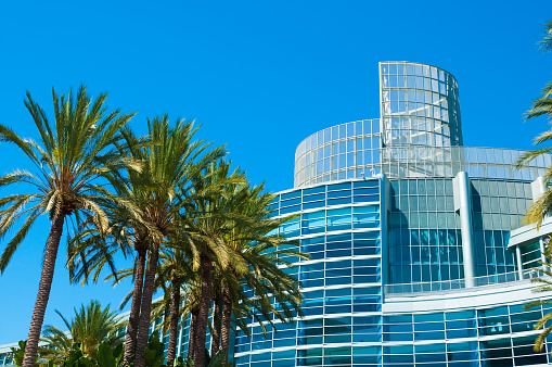 Anaheim Convention Center and Palm Trees.  The Anaheim Convention Center is located right beside the Disneyland Resort in Anaheim, CA and has over 800,000 square feet of floor space.