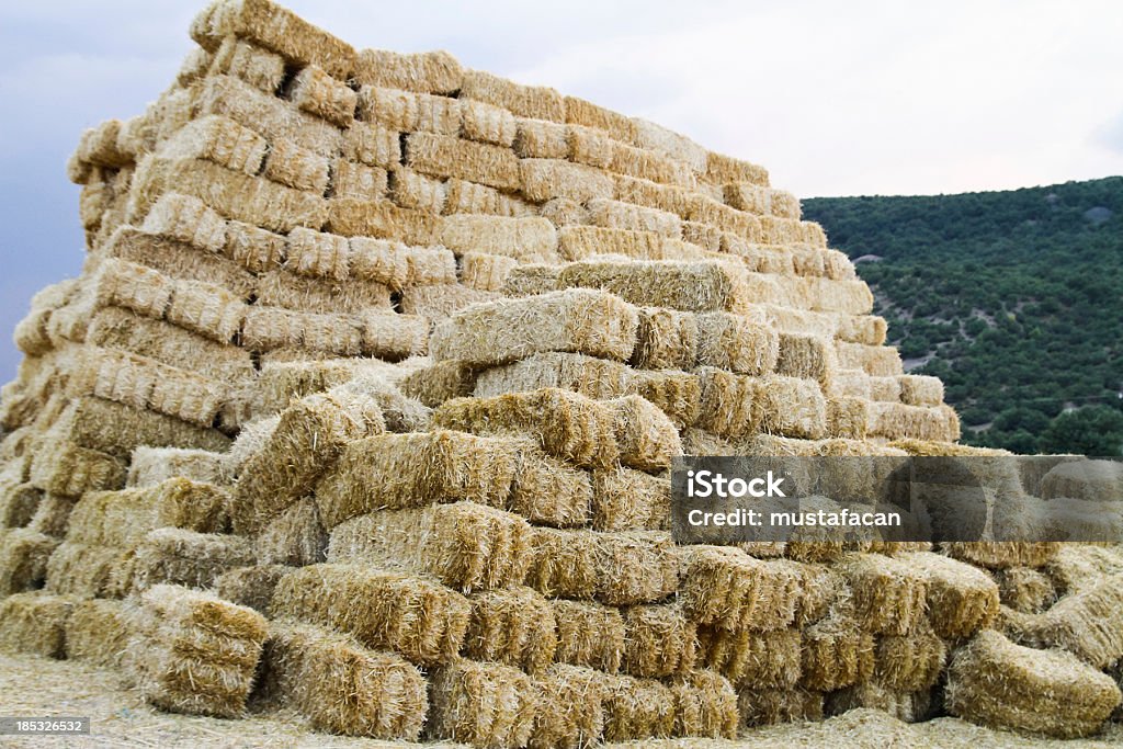 Gestapelte Stroh Hay Bails - Lizenzfrei Abstrakt Stock-Foto