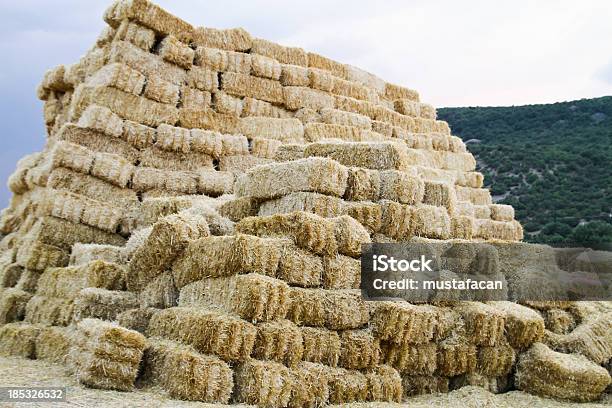 Empilhados Palha Hay Bails - Fotografias de stock e mais imagens de Abstrato - Abstrato, Agricultura, Amarelo