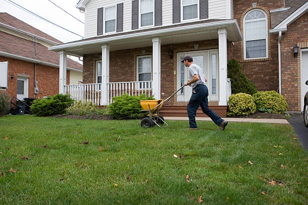 Male landscaper pushing a fertiliser machine on a lawn Man spreads fertilzer on a lawn fertilizer stock pictures, royalty-free photos & images