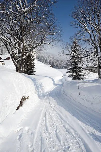 Winter landscape in the Kleinwalsertal a region in Austria.