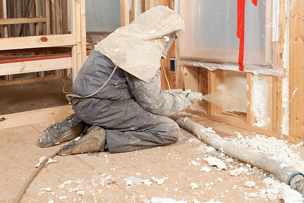 Worker Spraying Expandable Foam Insulation between Wall Studs  spray insulation stock pictures, royalty-free photos & images