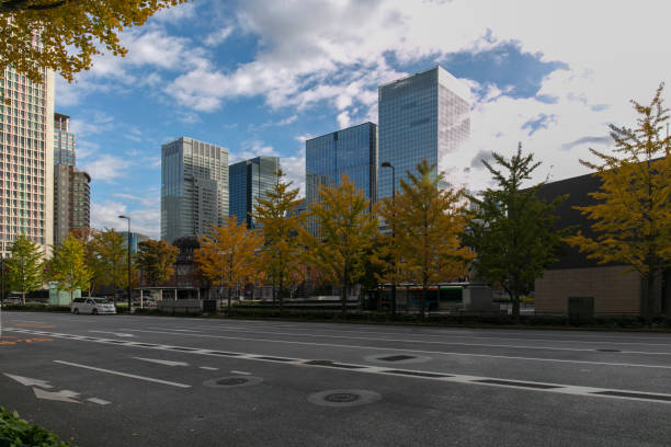 istock Tokyo cityscape 1853274261