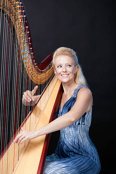 Side view of young professional female musician giving solo concert in church playing fascinating classical music on harp for audience, copy space