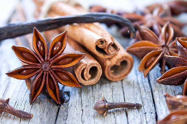 Aromatic spices Aromatic spice cinnamon sticks, star anise,cloves and vanilla stick clove spice photos stock pictures, royalty-free photos & images