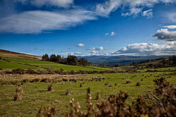 Green Irish Landscape County Cork IrelandMore images of Ireland