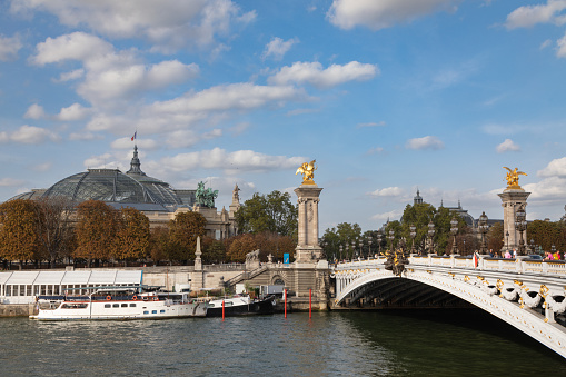 Pont Alexandre Bridge and Grand Palais, Paris, France