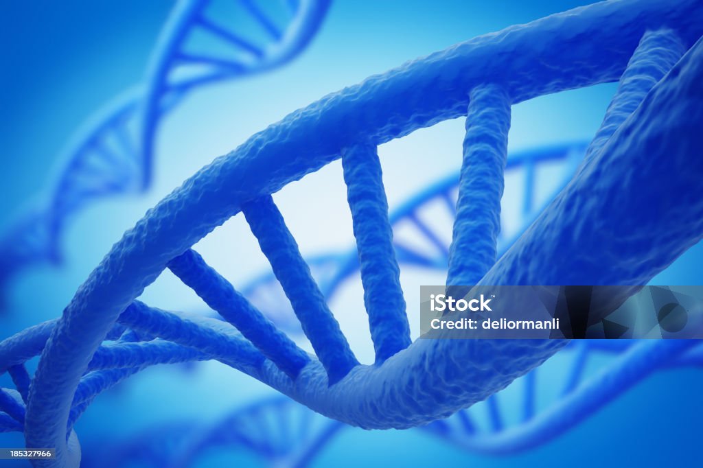 DNA Strands - Foto de stock de DNA royalty-free