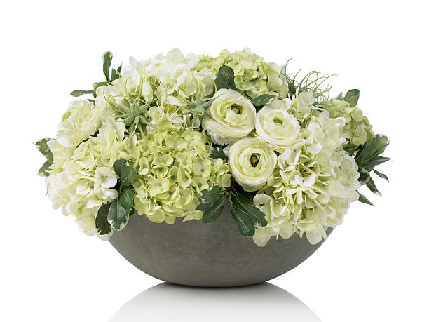 istock Large hydrangea bouquet in concrete bowl on white background 185328439