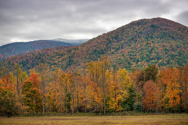 cades cove, great smoky mountains, à gatlinburg, dans le tennessee, états-unis - cades cove photos et images de collection