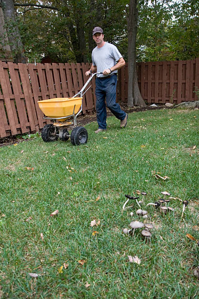 istock Landscaper Fertilizes a Lawn 185328827