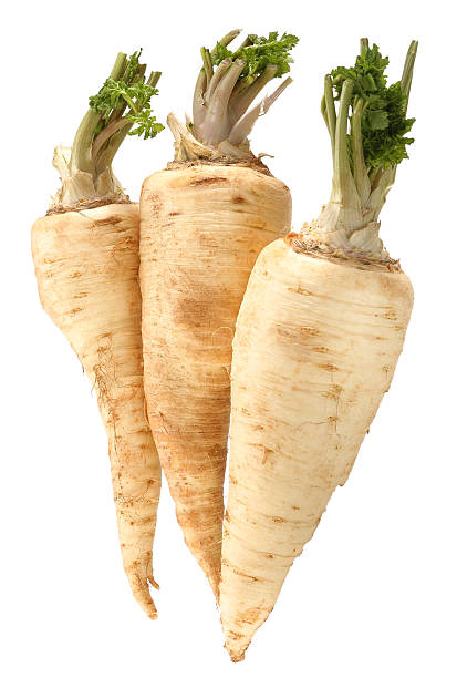 Three parsnips in front of white background