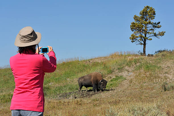 istock Photographing wildlife 185329007
