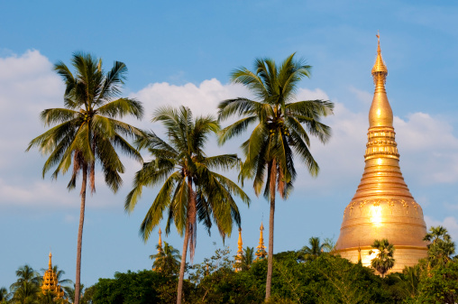 Shwedagon Pagoda and palm trees in Yangon, Myanmar
