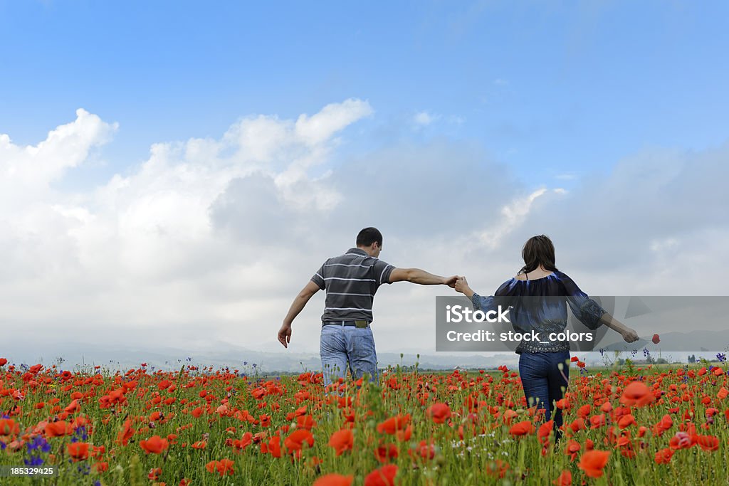 Paar Mohn Feld - Lizenzfrei Blume Stock-Foto