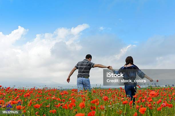 Paar Mohn Feld Stockfoto und mehr Bilder von Blume - Blume, Einfaches Leben, Einheitlichkeit