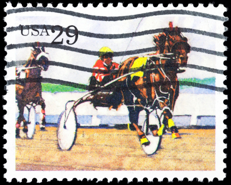 Cancelled Stamp From The United States: Horse Sport.