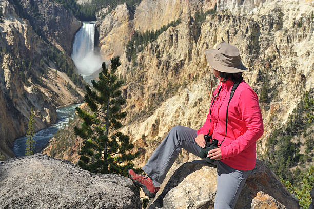 mulher olhando para a cascata de yellowstone - lower falls imagens e fotografias de stock