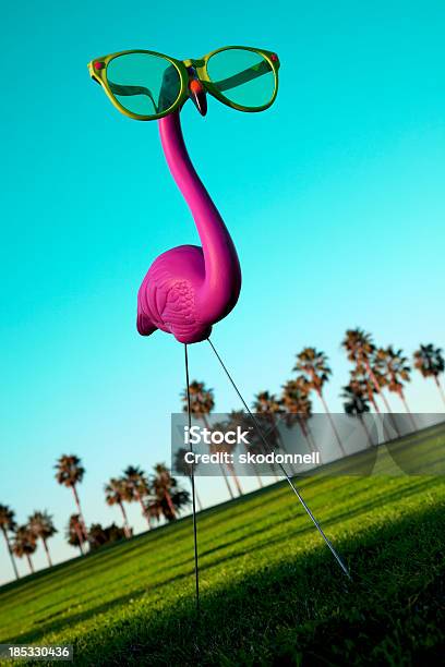 Plastic Pink Flamingo On A Green Lawn Stock Photo - Download Image Now - Plastic Flamingo, Sunglasses, Artificial