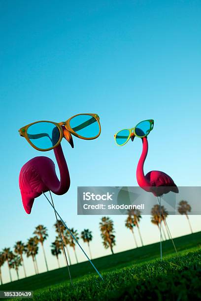Plastic Pink Flamingos On A Green Lawn Stock Photo - Download Image Now - Artificial, Beach, Bird