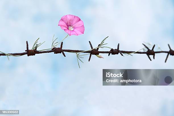 La Libertad Foto de stock y más banco de imágenes de Alambre de espino - Alambre de espino, Flor, Cárcel
