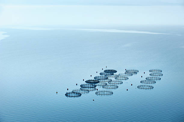 Sea fish farm in Greece stock photo