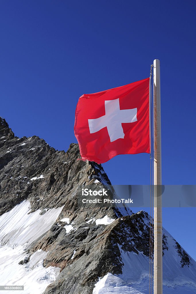 스위스 플랙-XL - 로열티 프리 기 스톡 사진