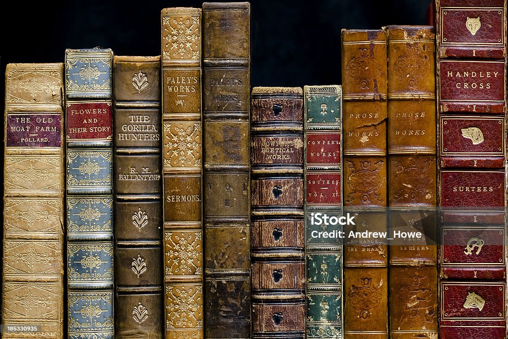 Livros antigos em uma prateleira - Foto de stock de Livro royalty-free