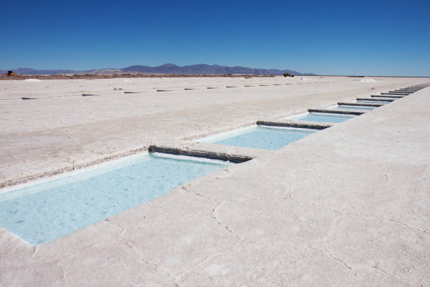 istock Pools in Saline, Argentina 185330981