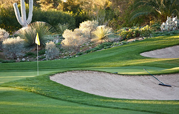 istock A shot of a beautiful desert gold course 185331873