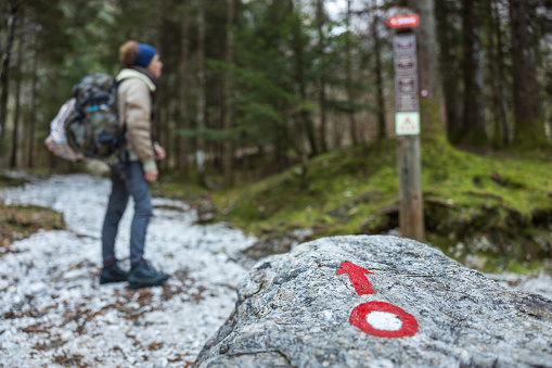 Hiker Selecting the Right Alpine Mountain Trail Path to Hike at Directions Board Sign in a Forest - Safe Hiking in Mountains Concept