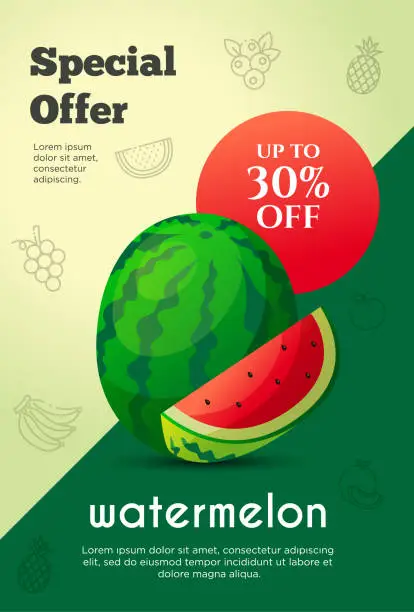 Vector illustration of Flyer special offer for watermelon fruit product. Fruit promotion flyer