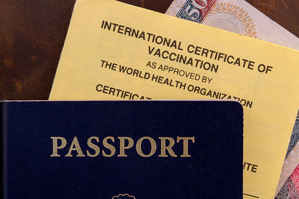 istock Close up of passport and vaccination card 185366277