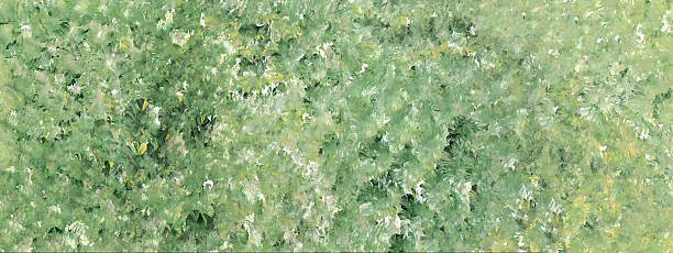 ilustraciones, imágenes clip art, dibujos animados e iconos de stock de spring meadow - backgrounds textured textured effect green background