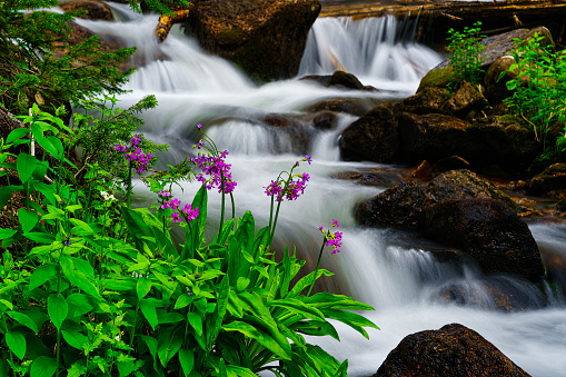 Beautiful view of Triple waterfall in Japanese garden. Public landscape park of Krasnodar or Galitsky Park, Russia.