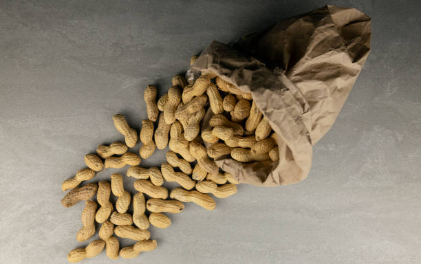 istock Whole peanuts in a paper bag scattered on a gray background. Top view. 1853680420