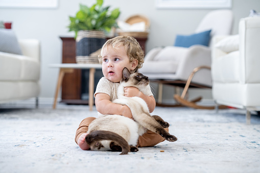 A sweet little 1yr old boy sits on the floor in the living room as he holds his Siamese cat tightly.  He is dressed casually and the two appear content and they sit together.