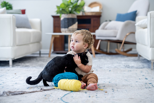 A sweet little 1yr old boy sits on the floor in the living room as he holds his kitten tightly and hugs her.  There are two balls of yarn out in front of them as they play and snuggle together.