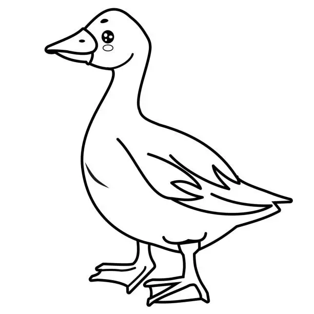 Vector illustration of Cute goose vector in black and white